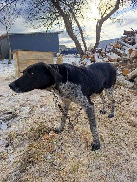 Продам  гончу деталі за телефоном