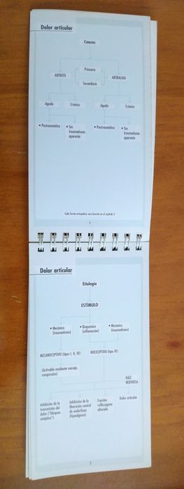 Guia de Diagnóstico Enfermedades Reumáticas, DELTA laboratórios.