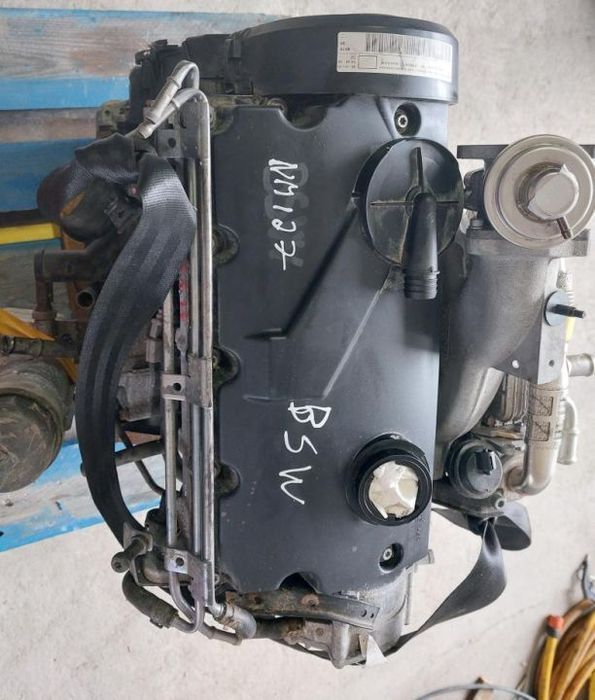 BSW Motor Skoda Favia vw New Beetle 1.9 tdi 105cv