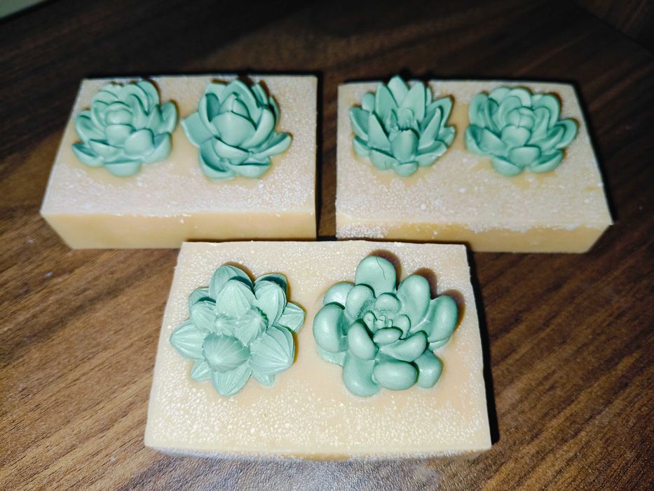 Mydełko sukulenty - sodowe