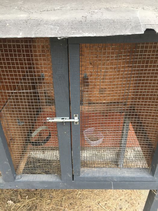 Клітка для кролів