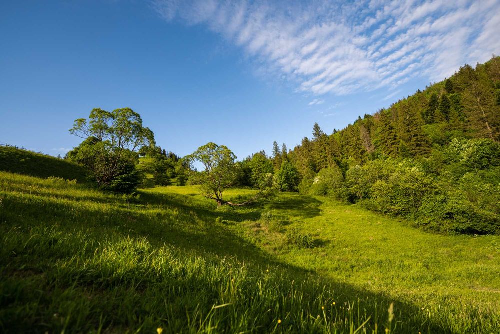 Земельна ділянка на межі м. Яремче та с. Микуличин 140 соток