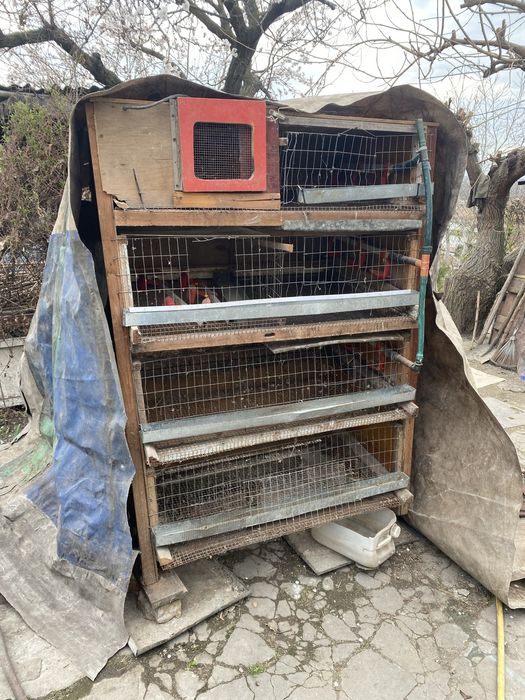 Клетка для перепелов