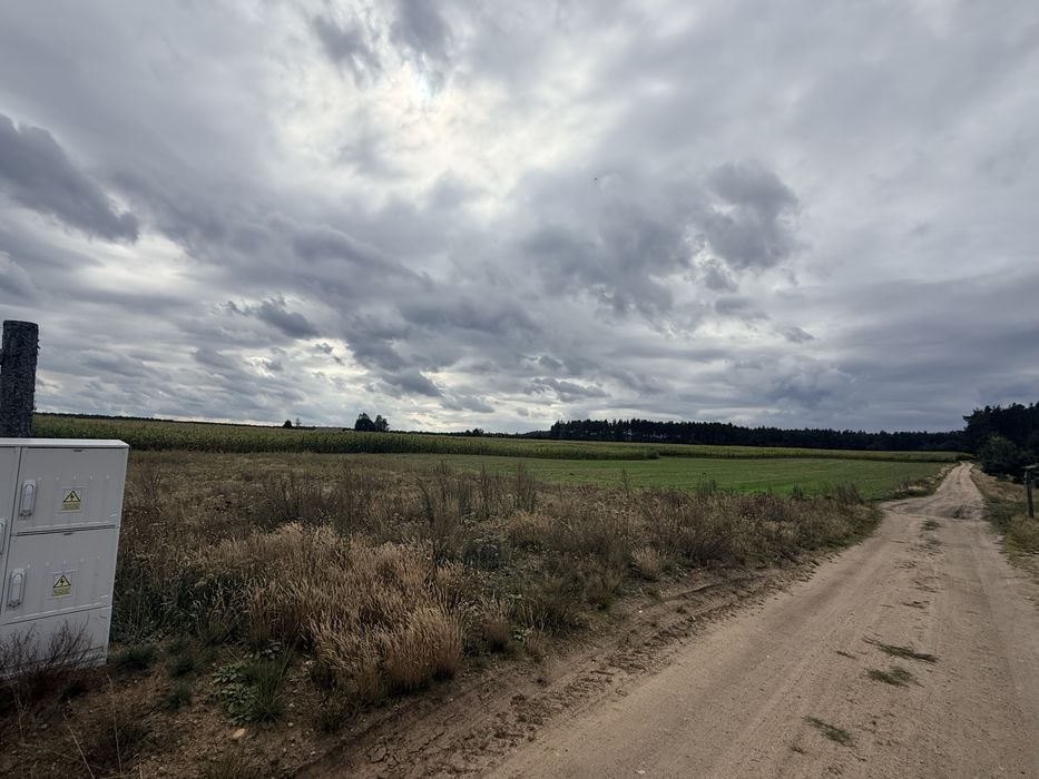 Działka budowlana, Chwarzno, gm. Stara Kiszewa. Działki - Widok 2