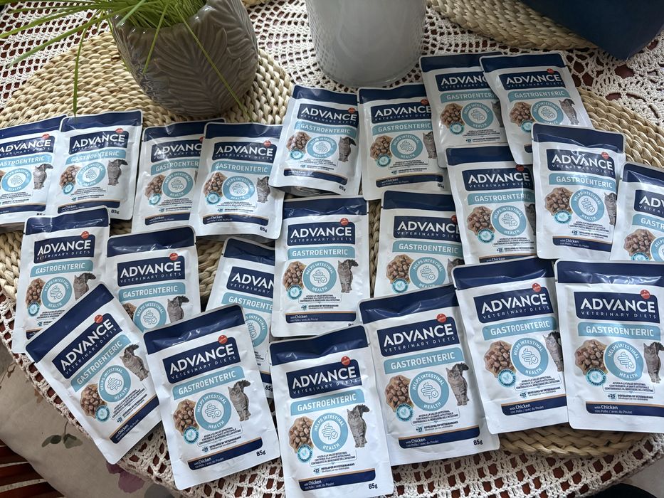 Advance 22 sztuki saszetek dla kotka nowe