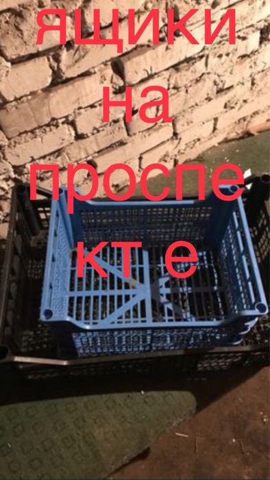 продам ящики