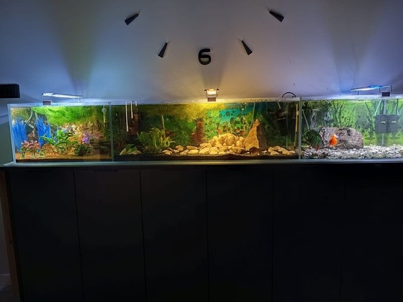 Sprzedam akwarium 190x32x30