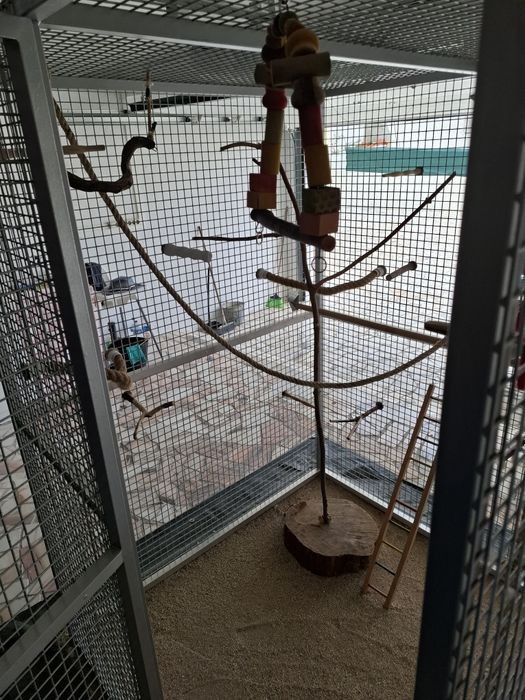 Gaiola para Aves