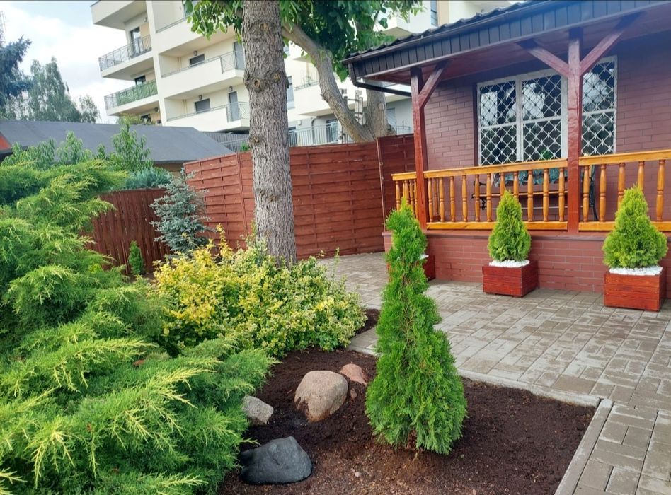 Dzialka ROD centrum Nowa cena ! Do negocjacji dla zdecydowanych !