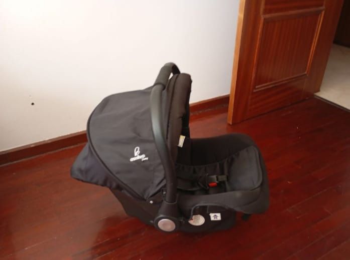 Carrinho de bebé com ovo