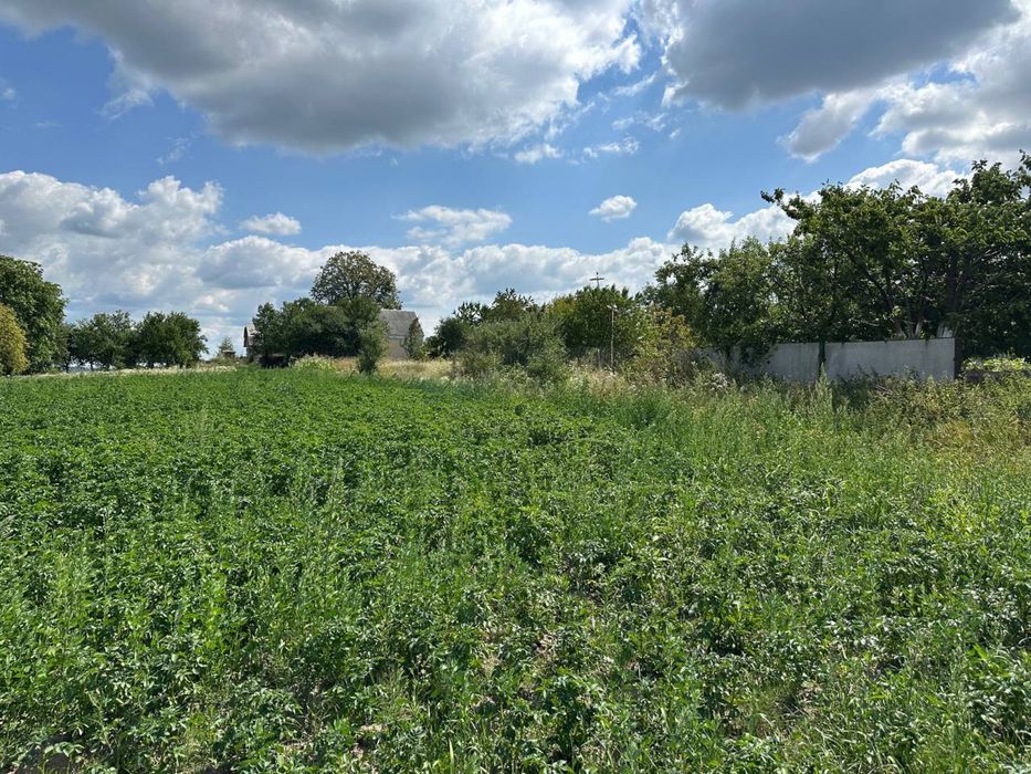 Продам ділянку у Великому Житині 35 соток