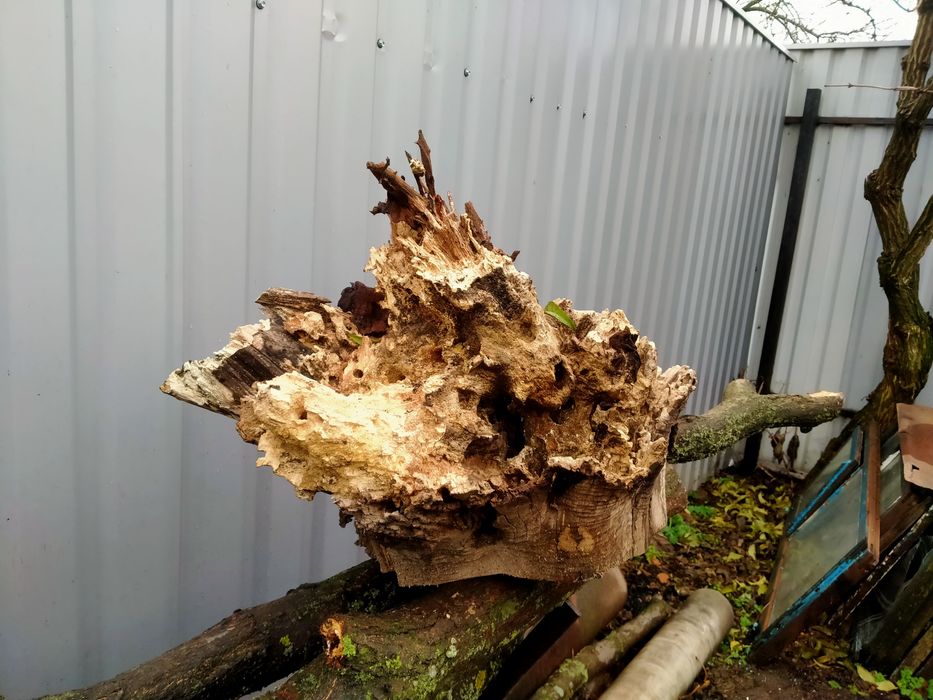 Заготовка в дерев -і акваріум