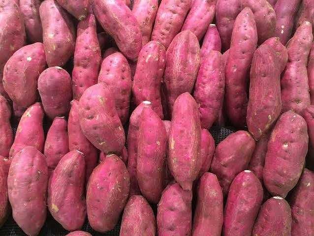 Batata doce para vender.