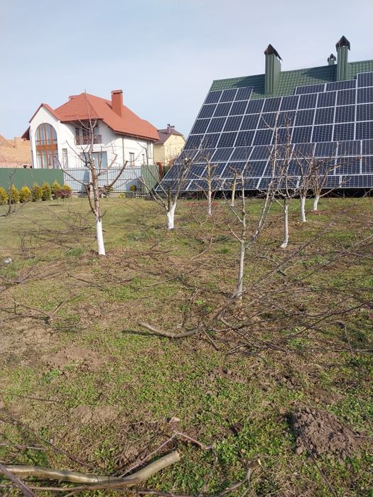 Обрізка дерев обрізка кущів та туй