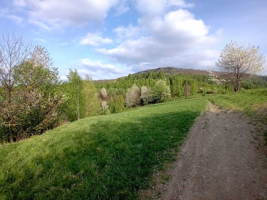 Dzialka rolna Rzyki 29 arów