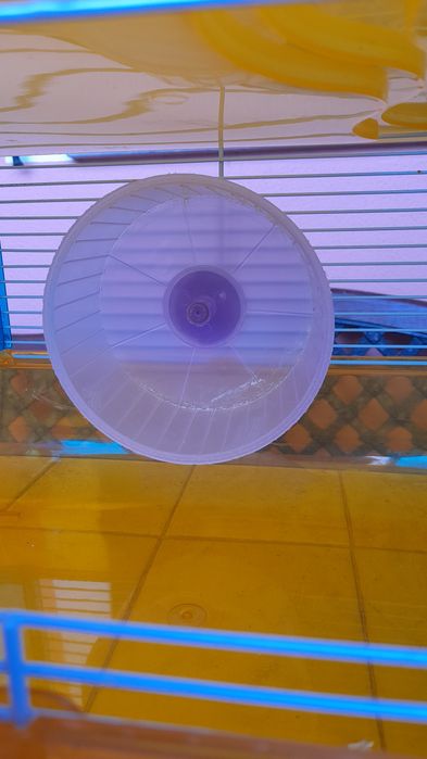 3 Gaiolas para  hamster