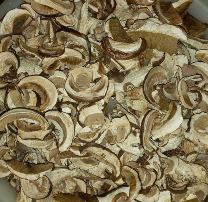 гриб білий сушений 2024