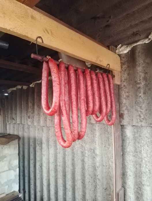 Продам домашню свинину ,також поросята