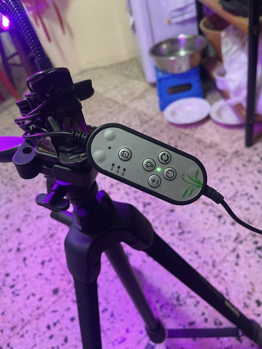 Tripe de luzes varias cores