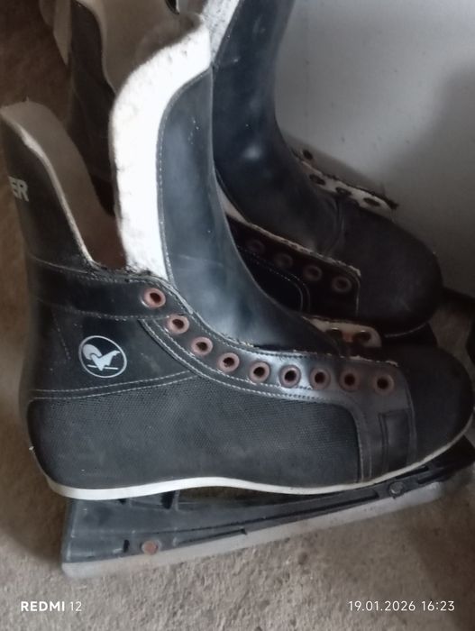 Ковзани коньки бв Німеччини