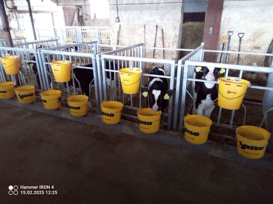 Kojce boksy dla cieląt budka iglo