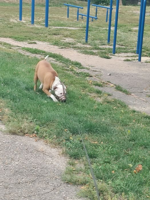 Вязка для здоровья