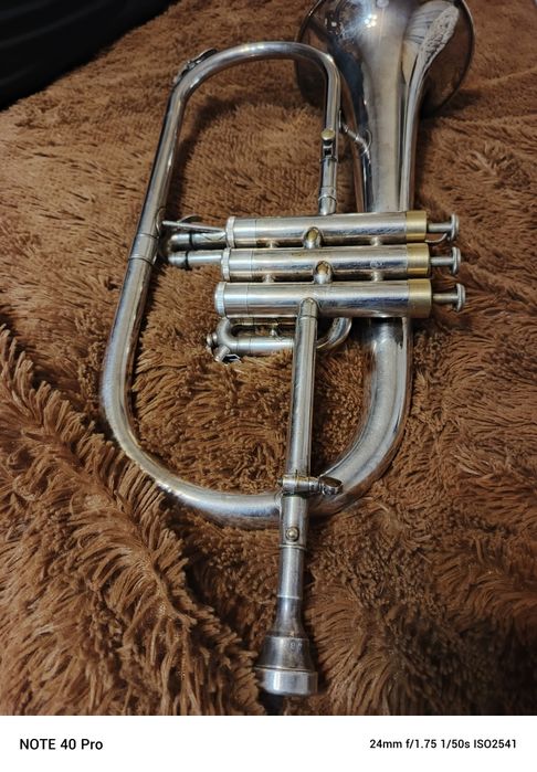 Fluegelhorn Venus