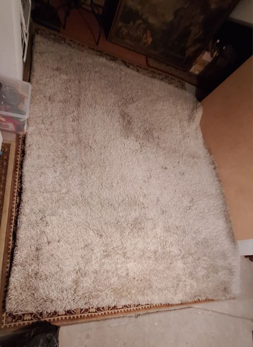 Carpete em ótimo estado