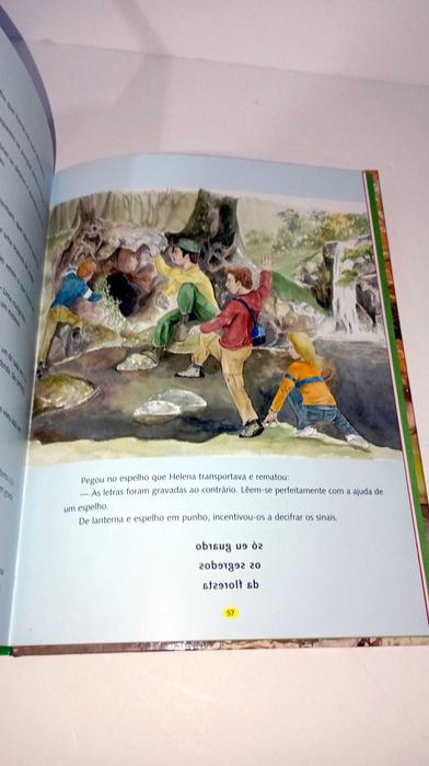 Há fogo na Floresta - Ana Maria Magalhães