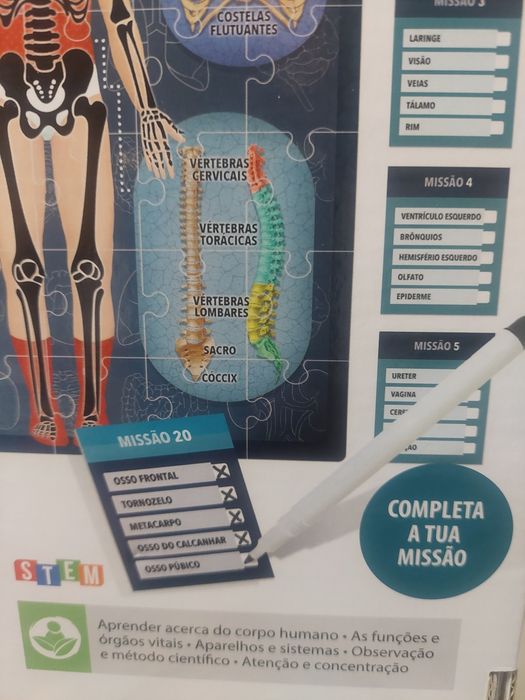 Jogo o Corpo Humano ao RX da Headu