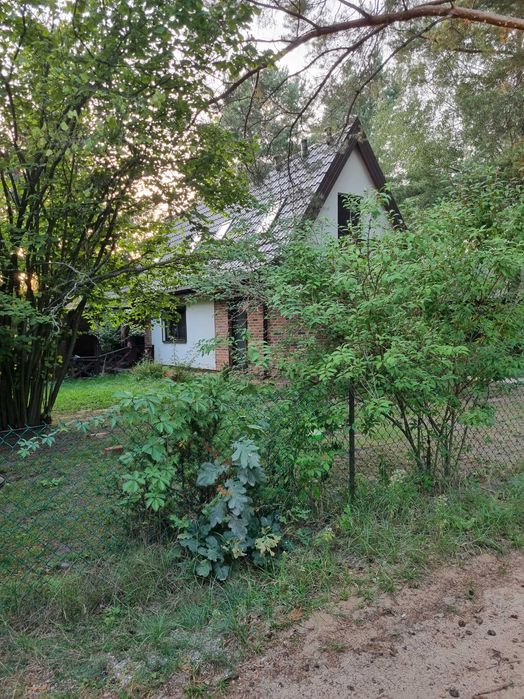 Święta Wielkanocne. Modrzewiowy domek nad Wkrą zaprasza