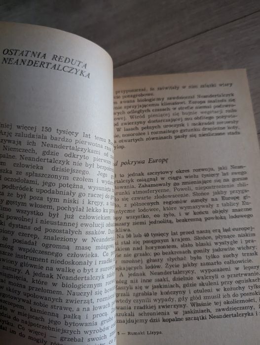 Z. Kosidowski, Rumaki Lizypa