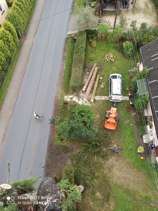 Wycinka drzew/frezowanie pni/mulczer leśny