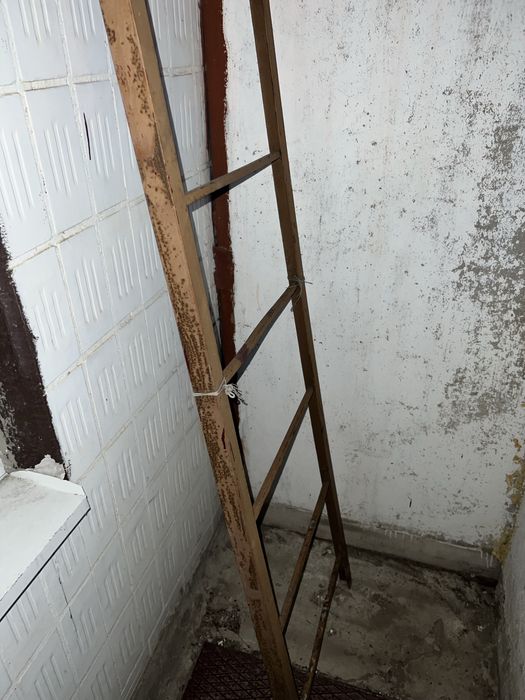 Драбина металева 268 см довжини