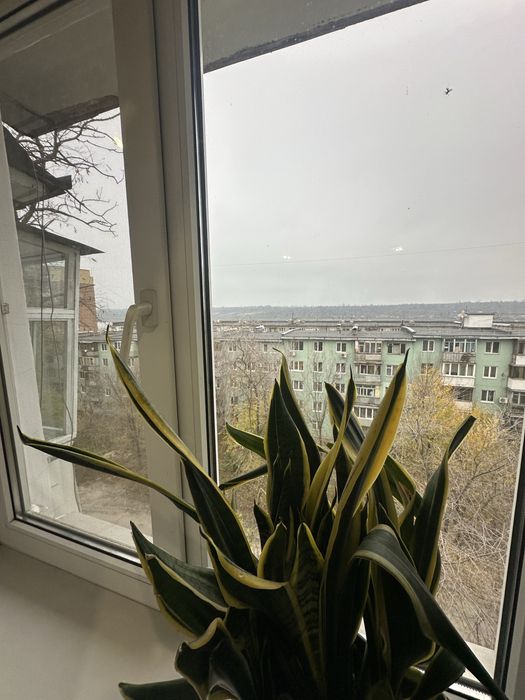 3-кімнатна на Нижньодніпровській 5/5 пов.