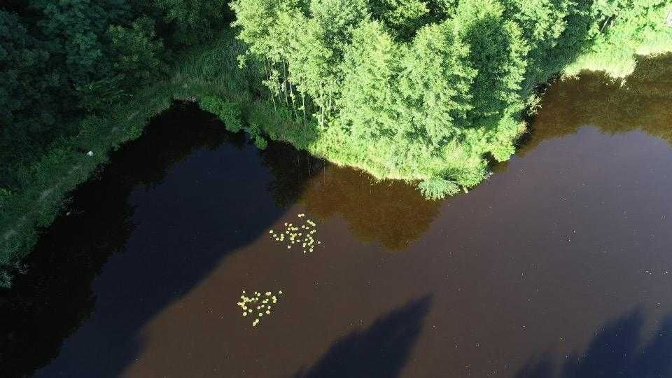 Zdjęcie 5