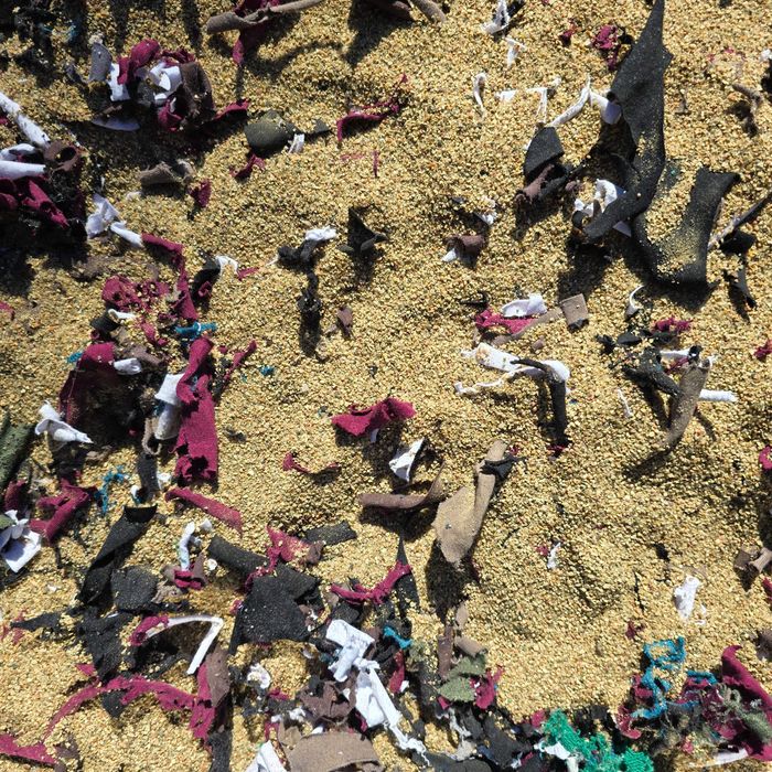 Padok Podloze dla koni