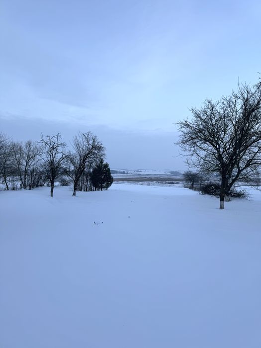 ‼️ПРОДАЖ. Земля. Земельна ДІЛЯНКА‼️с. Сатиїв