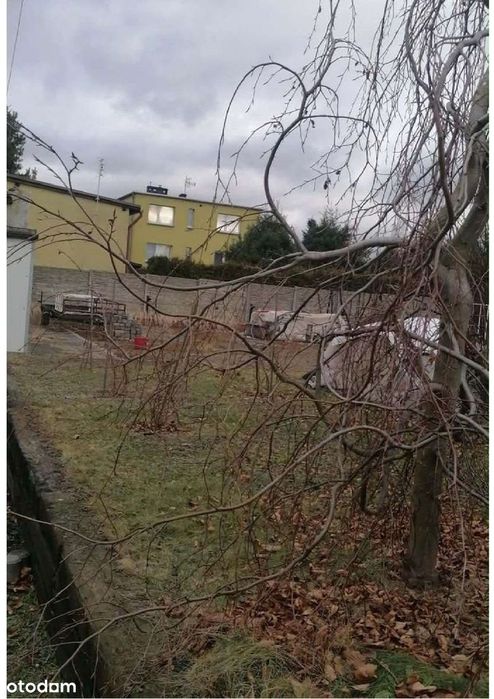 Syndyk sprzeda - 1/2 udziału