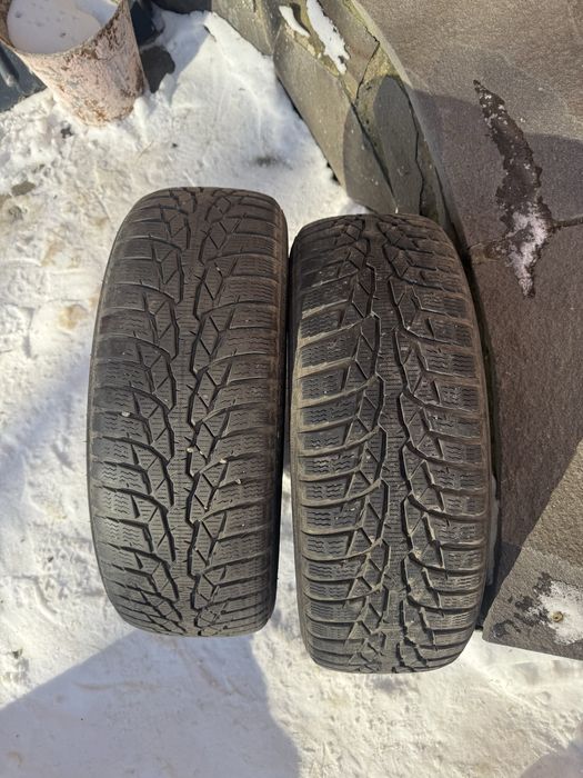 Шини Nokian 185/60 R15 WR D4 зимові