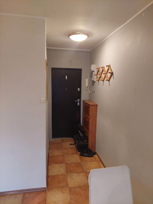 Do wynajęcia od zaraz 2 pok na Żabiance, 36 m² - Widok 3