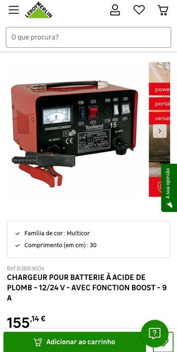 CHARGEUR POUR BATTERIE À ACIDE DE PLOMB - 12/24 V