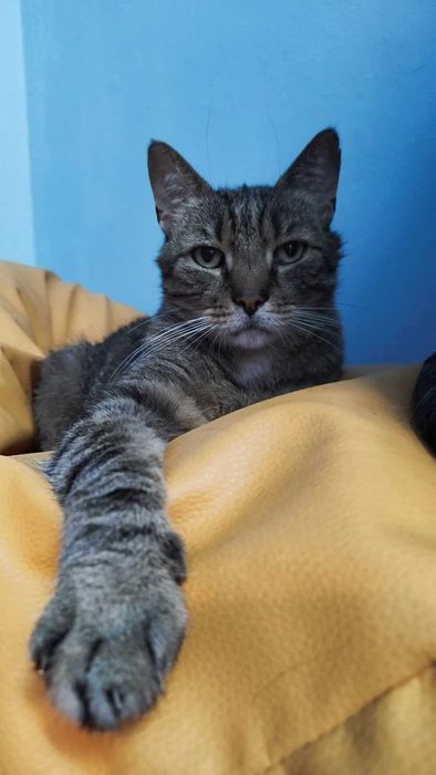 Bruno, słodki chłopak z charakterem