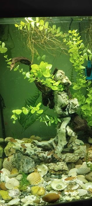 Aquario Completo para Natal!!!