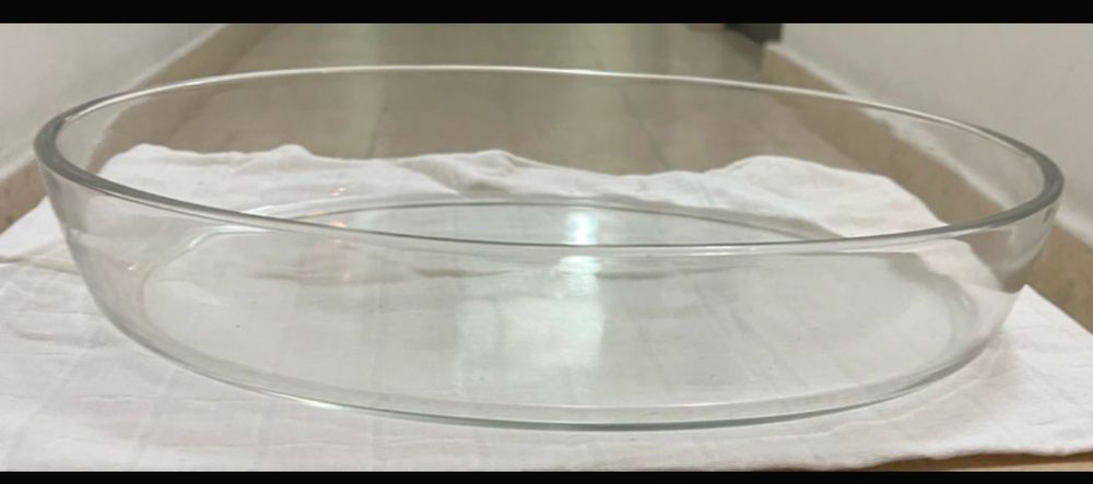 Pirex Large Oval64730069393025121