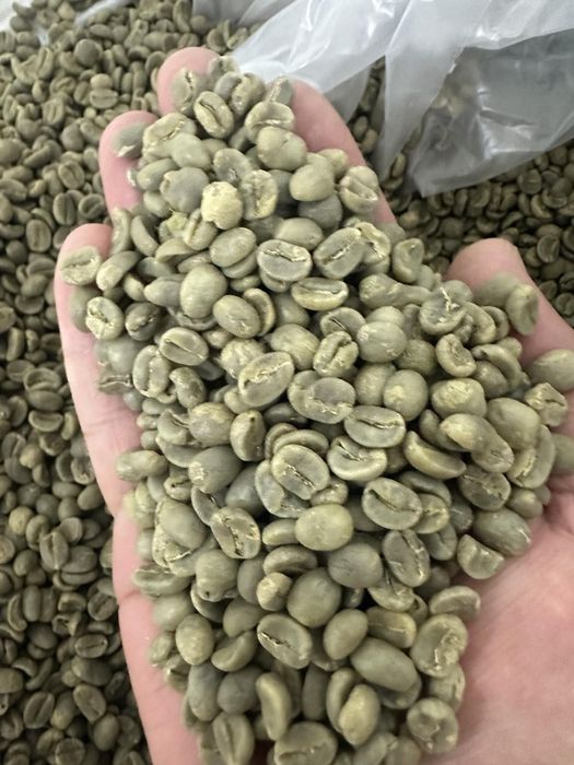 Кава ЗЕЛЕНА гурт (опт)