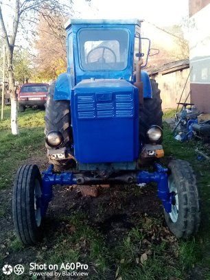 продам робочого коника