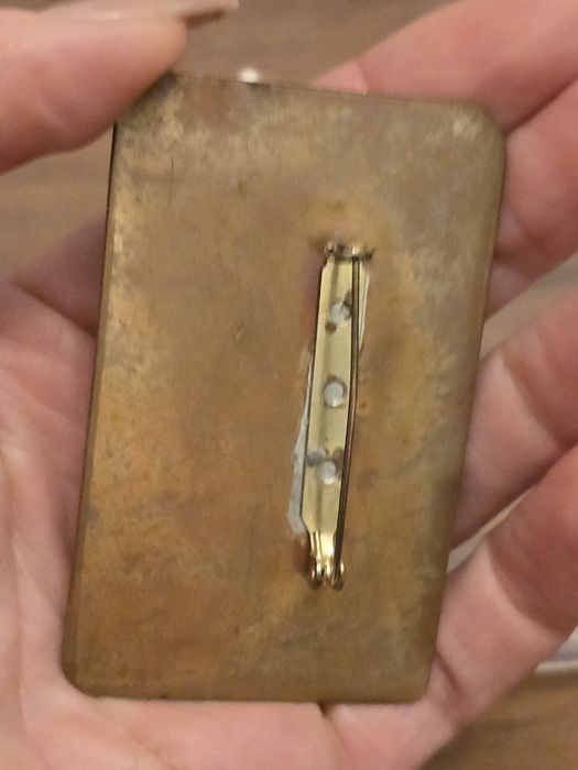 Piękna artystyczna broszka wykonana z miedzi i naturalnych kamieni .