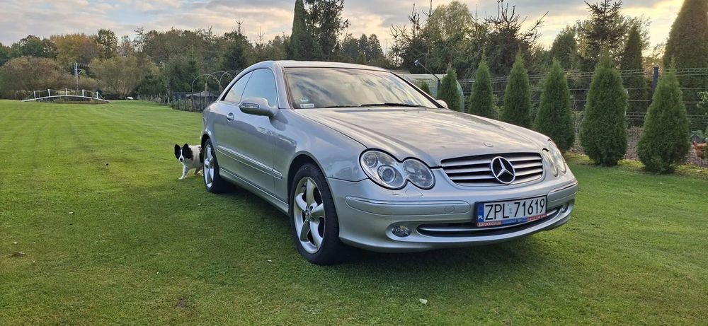 Mercedes-Benz CLK