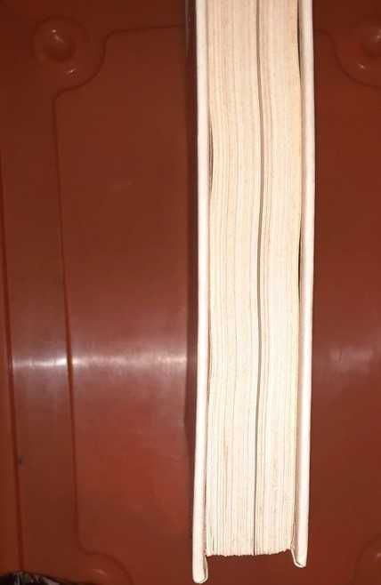 O Grande Livro Ilustrado Do Bricolage